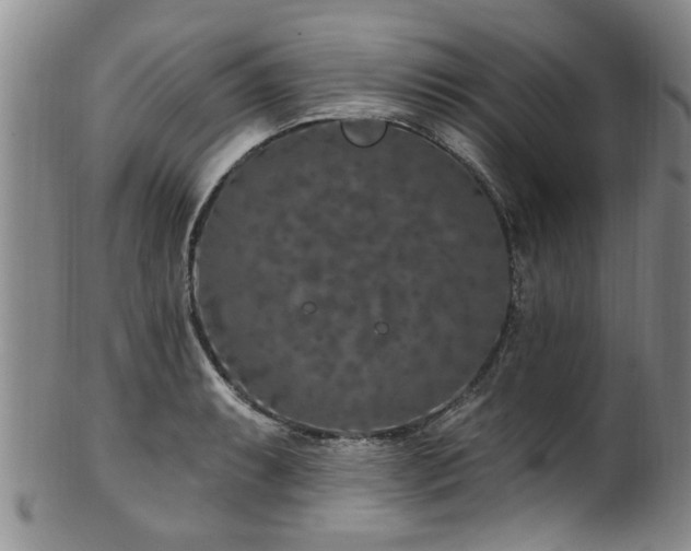 X0000100361087200806061132