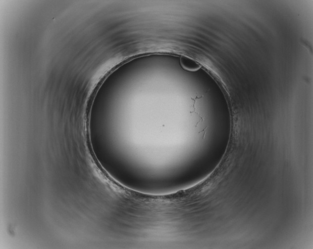 X0000100361088200806061132
