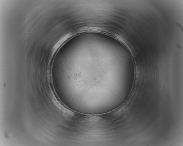 X0000100361090200806061132