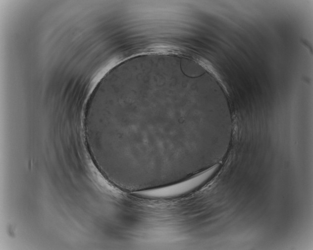 X0000100361091200806061132