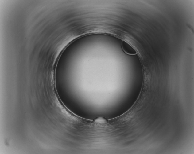 X0000100361092200806061132
