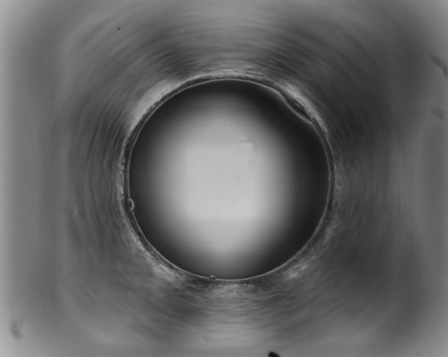 X0000100361093200806061132