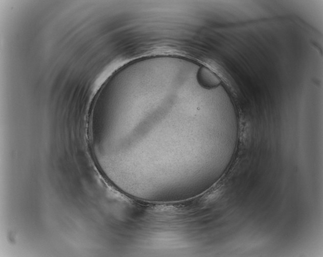 X0000100361094200806061132