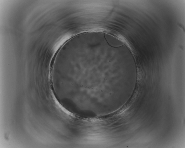 X0000100361095200806061132