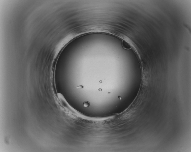 X0000100361096200806061132