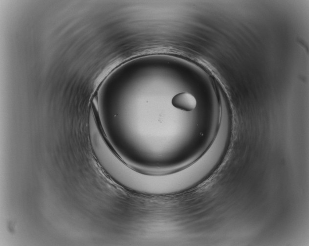 X0000100361097200806061132