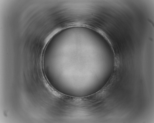 X0000100361098200806061132