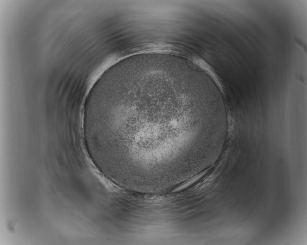 X0000100361099200806061132