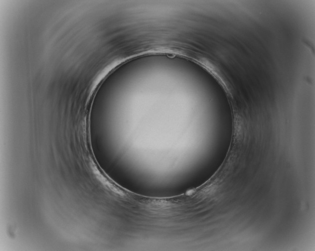 X0000100361100200806061132