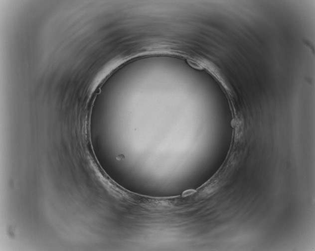 X0000100361101200806061132