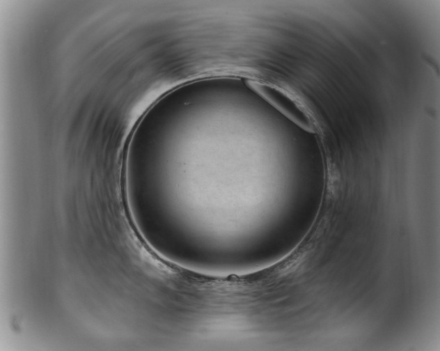 X0000100361102200806061132