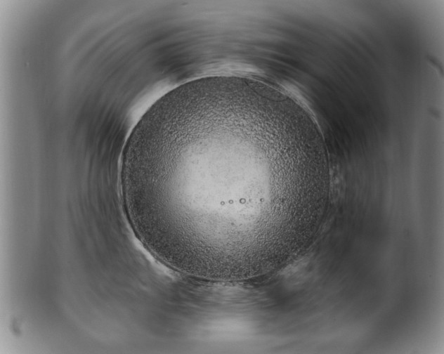 X0000100361103200806061132