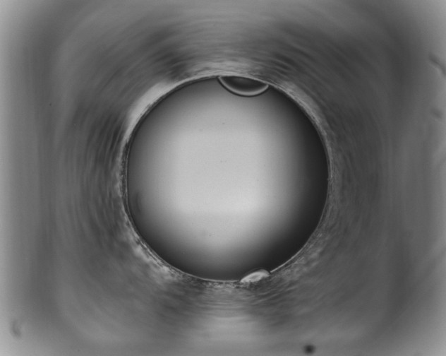 X0000100361104200806061132