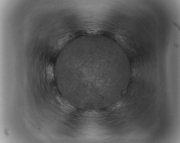 X0000100361106200806061131