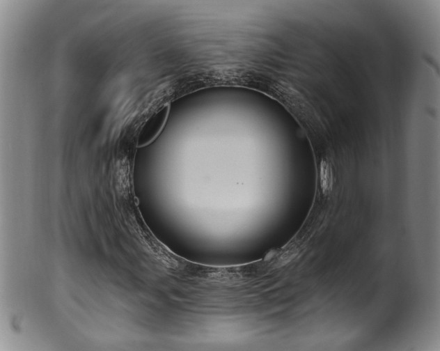 X0000100361107200806061131