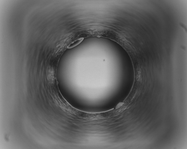 X0000100361108200806061131