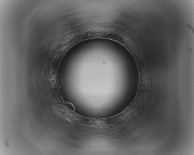 X0000100361109200806061131