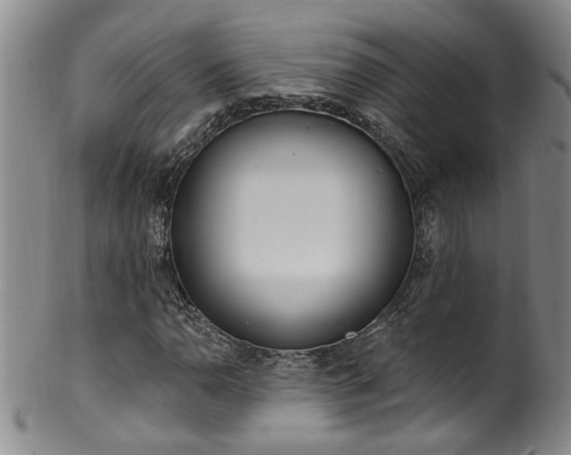 X0000100361110200806061131