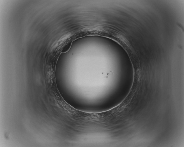 X0000100361111200806061131