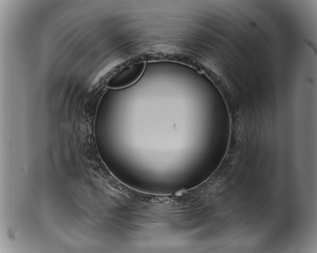 X0000100361112200806061131