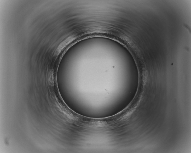 X0000100361113200806061132