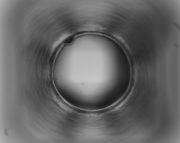 X0000100361114200806061132