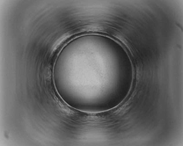 X0000100361115200806061132