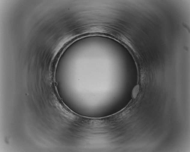 X0000100361116200806061132