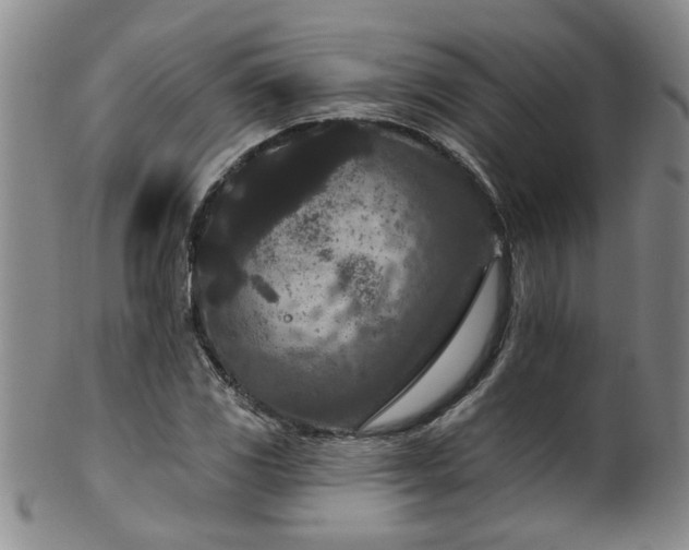 X0000100361117200806061132