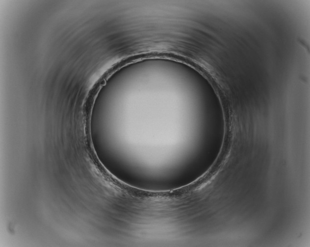 X0000100361118200806061132