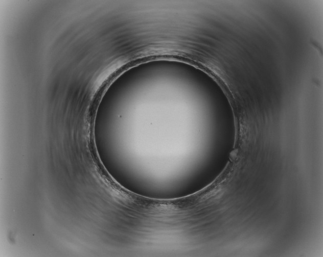 X0000100361119200806061132