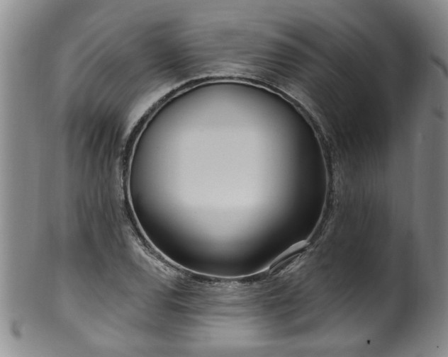 X0000100361120200806061132