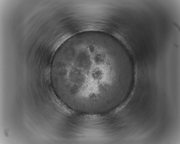 X0000100361121200806061132