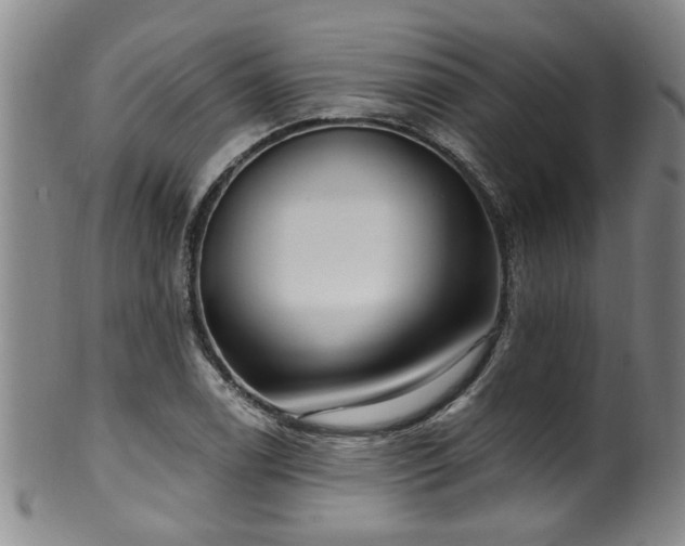 X0000100361122200806061132