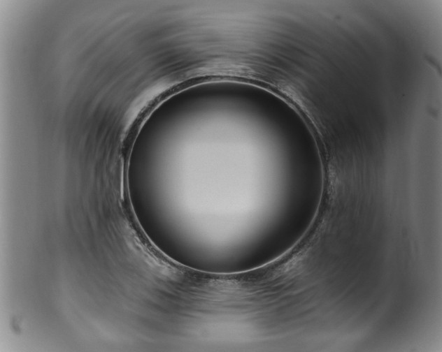 X0000100361123200806061132
