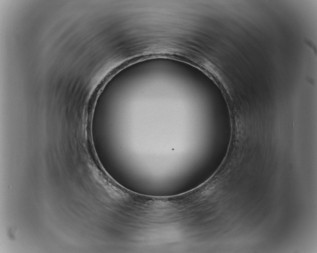 X0000100361124200806061132
