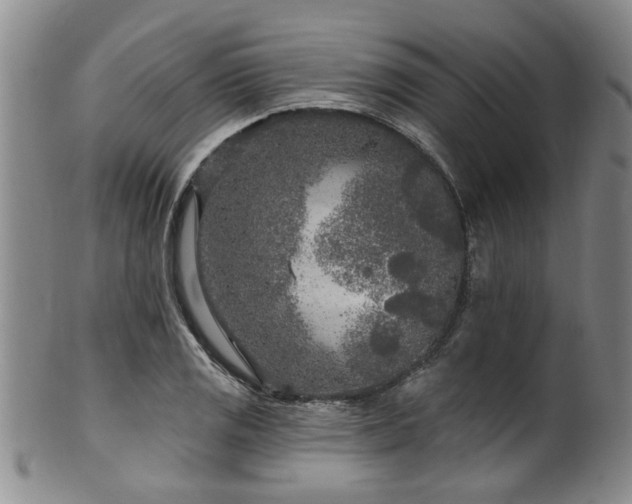 X0000100361125200806061132