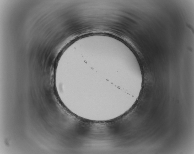 X0000100361126200806061132