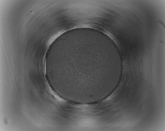 X0000100361127200806061132