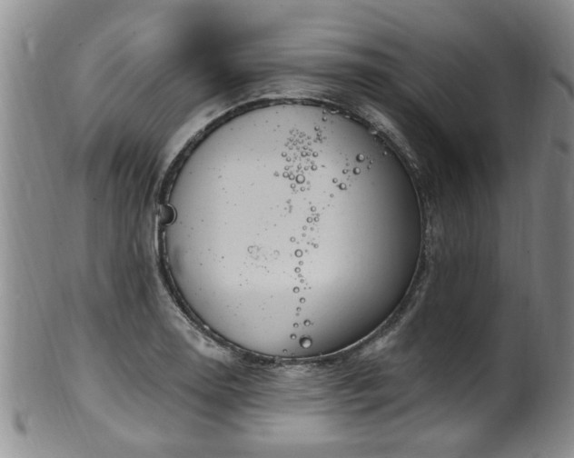 X0000100361130200806061132