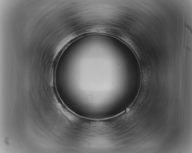 X0000100361131200806061132