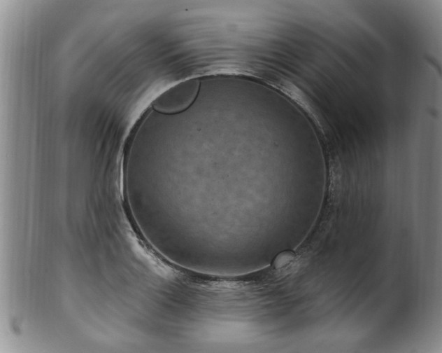 X0000100361132200806061132