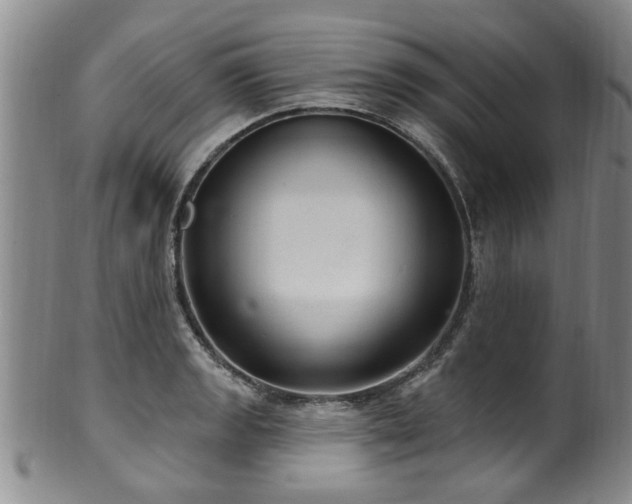 X0000100361133200806061132