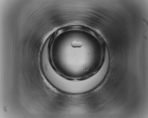 X0000100361134200806061132