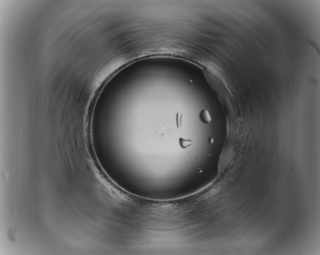 X0000100361135200806061132