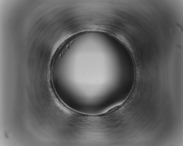 X0000100361136200806061132