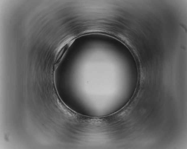 X0000100361137200806061132