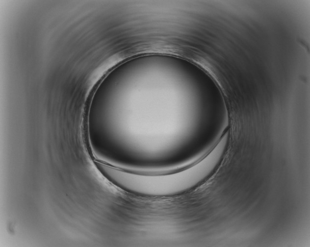 X0000100361139200806061132