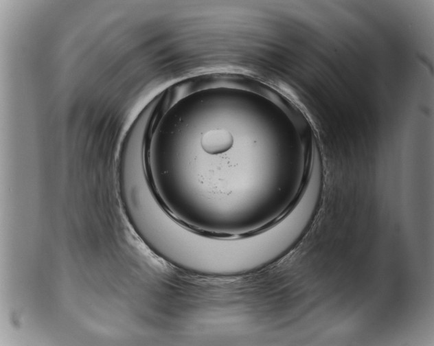 X0000100361140200806061132