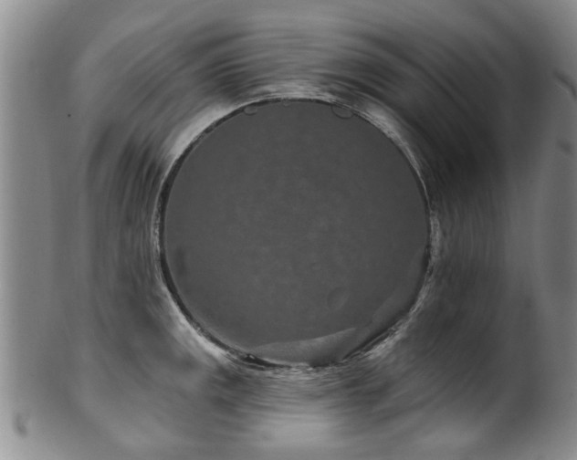 X0000100361141200806061132